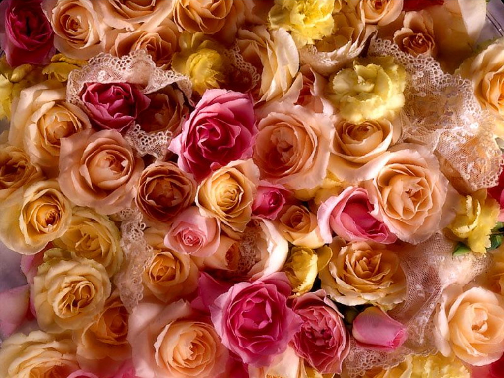 http://pioneer.netserv.chula.ac.th/~ogarnda/Wallpaper/Rose%20Bridal%20Bouquet.jpg